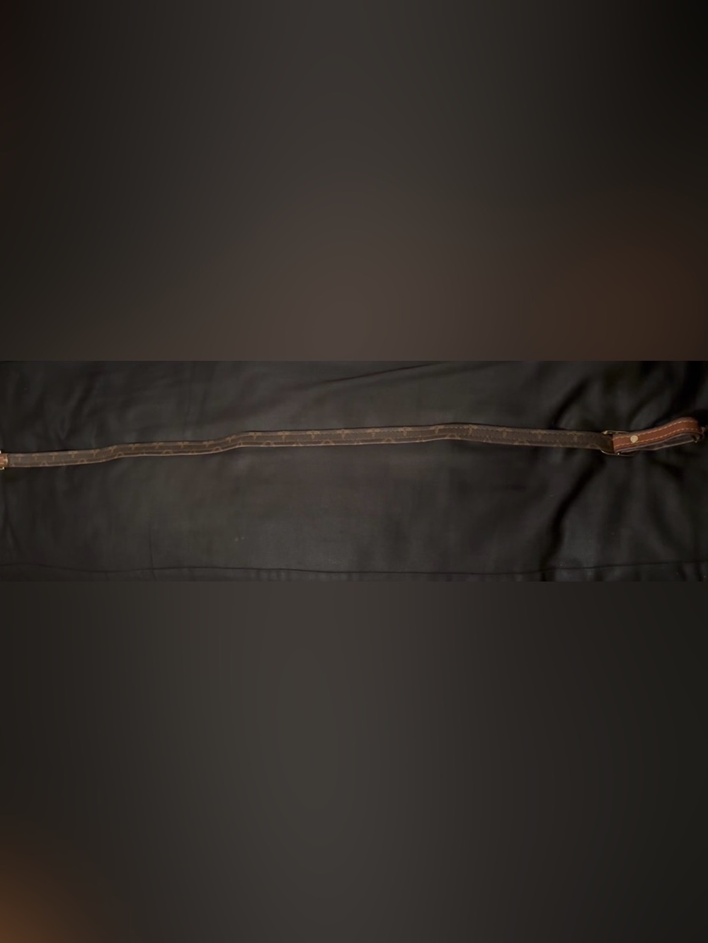 Louis Vuitton Brown and Tan Adjustable Shoulder Strap